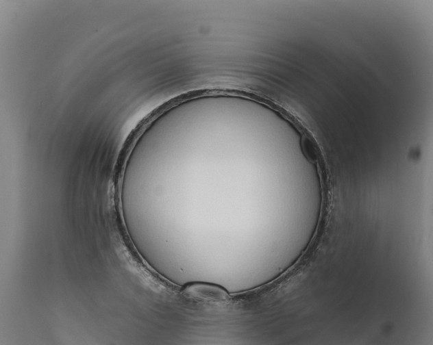 X0000112400928200908281747