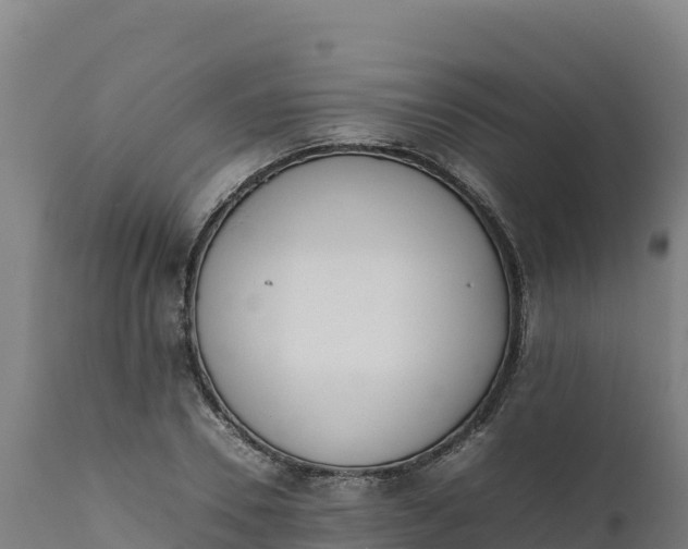 X0000112400930200908281747