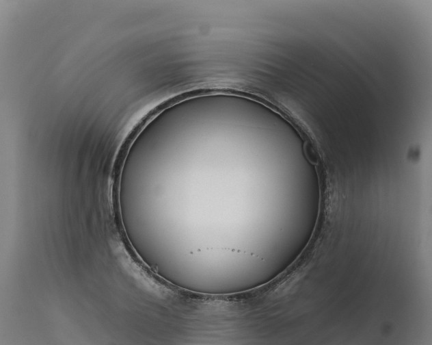 X0000112400932200908281747