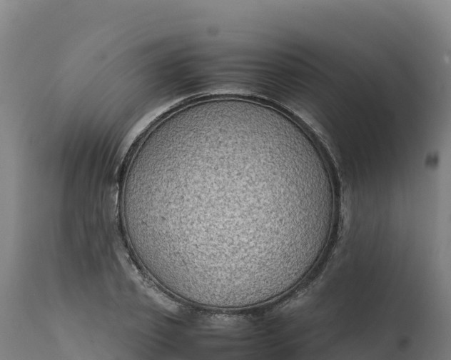X0000112400933200908281747