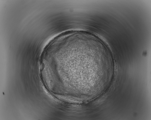 X0000112400935200908281747