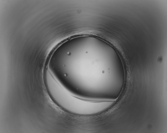 X0000112400936200908281747