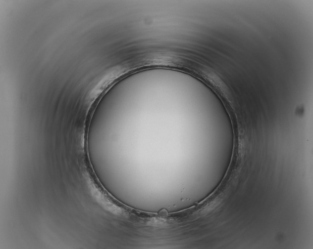 X0000112400938200908281747
