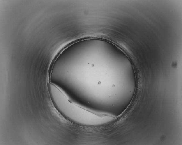 X0000112400940200908281747