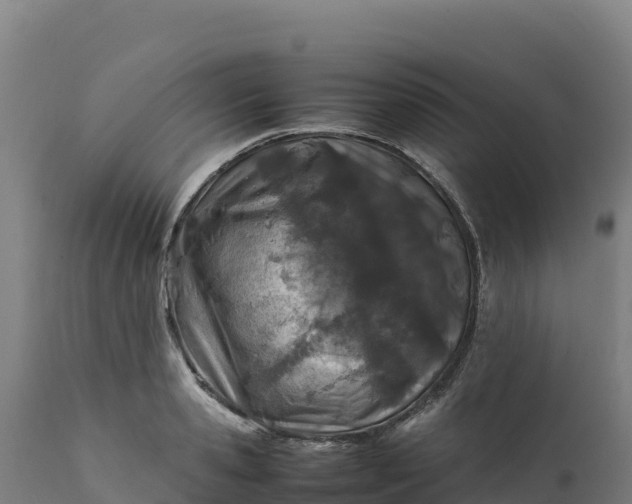 X0000112400941200908281747