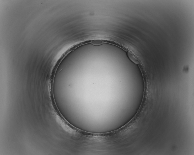 X0000112400942200908281747