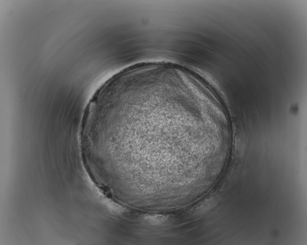 X0000112400943200908281747