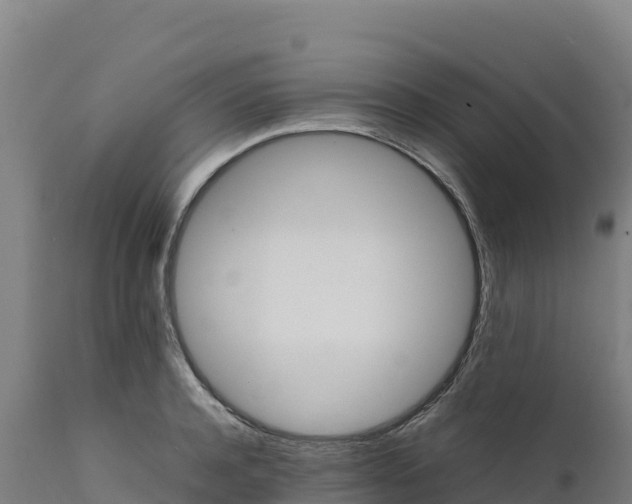X0000112400944200908281747