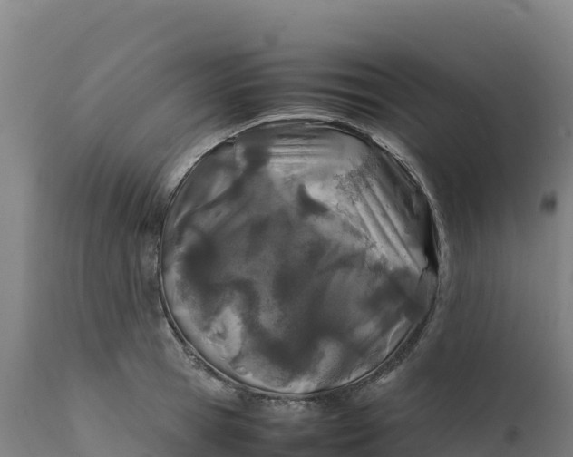 X0000112400945200908281747