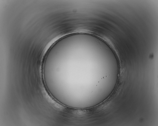 X0000112400947200908281747