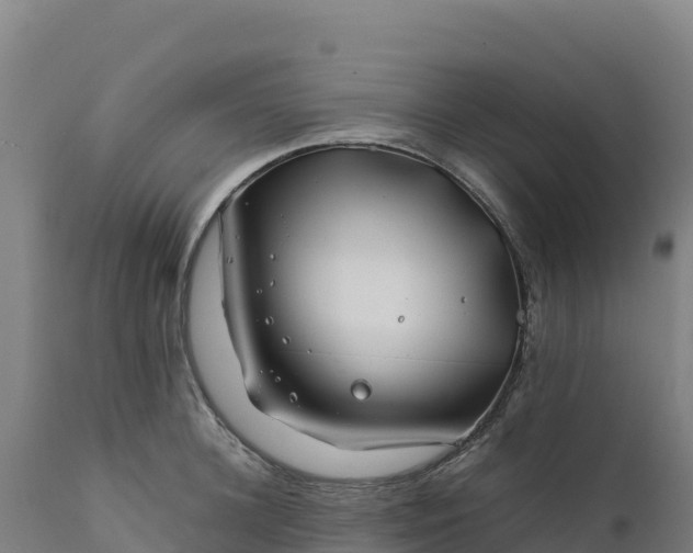 X0000112400948200908281747