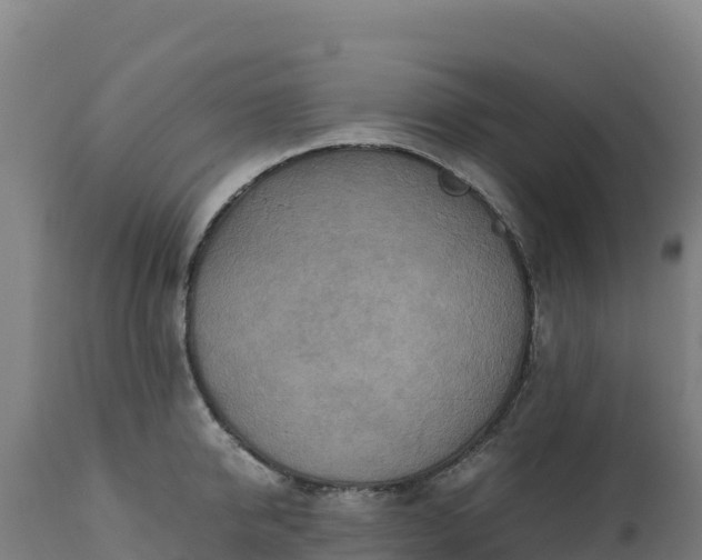 X0000112400950200908281747