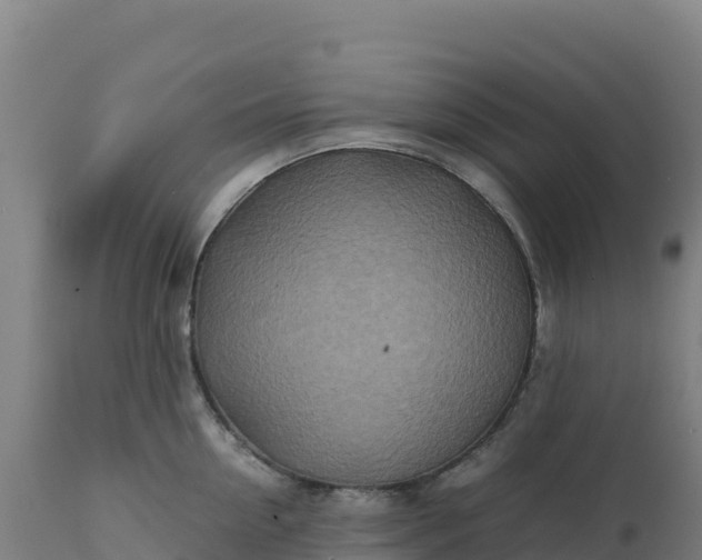 X0000112400954200908281747