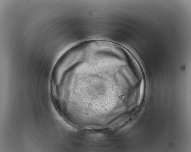 X0000112400957200908281747