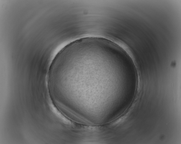 X0000112400958200908281747