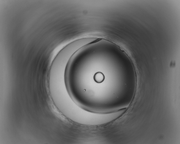 X0000112400960200908281747