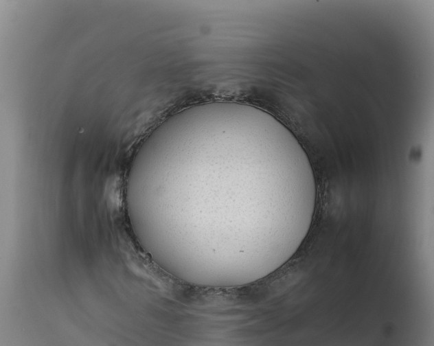 X0000112400962200908281746