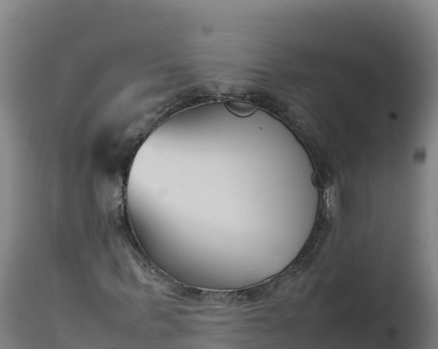 X0000112400963200908281746