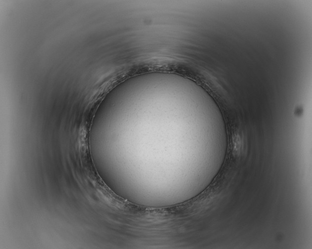 X0000112400964200908281746