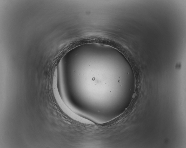 X0000112400965200908281746