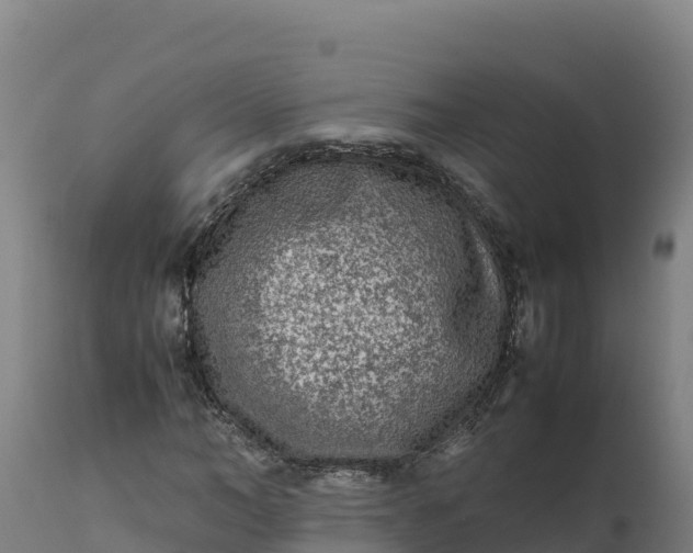 X0000112400966200908281746