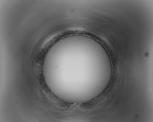 X0000112400967200908281746