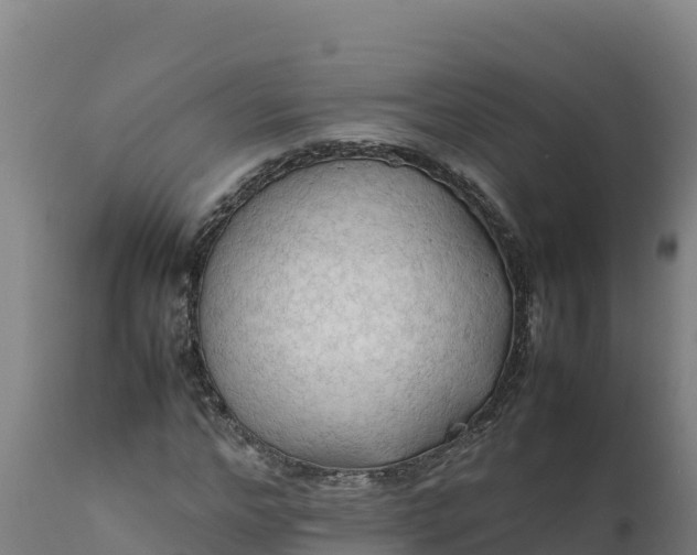 X0000112400968200908281746