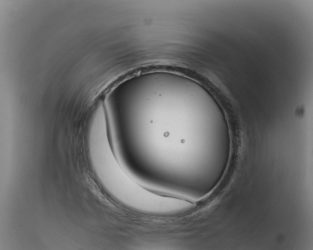 X0000112400969200908281746