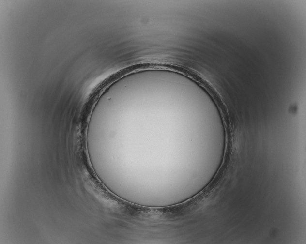 X0000112400971200908281746