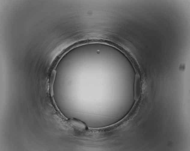 X0000112400973200908281746