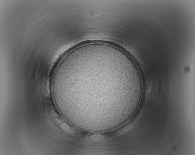 X0000112400974200908281746