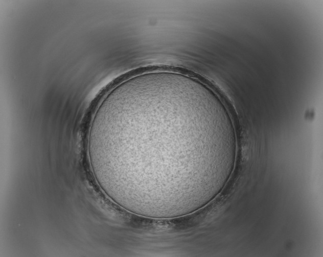 X0000112400975200908281746