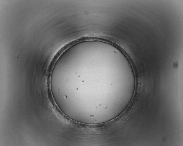 X0000112400976200908281746