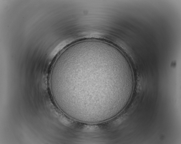 X0000112400978200908281746