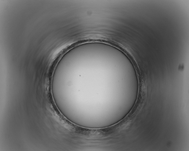 X0000112400979200908281746