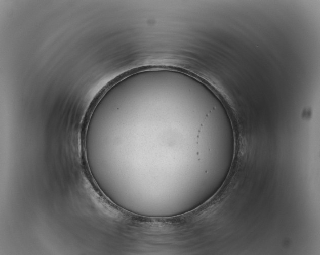 X0000112400980200908281746