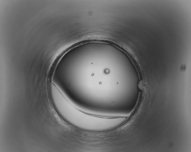 X0000112400981200908281746