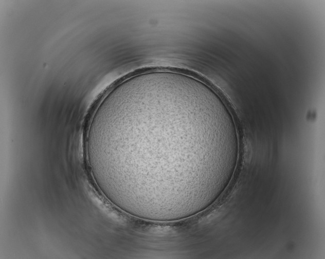 X0000112400982200908281746