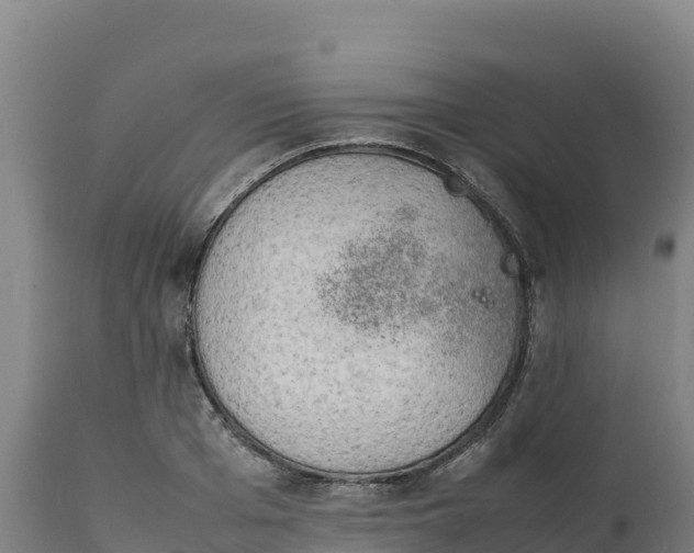 X0000112400985200908281746
