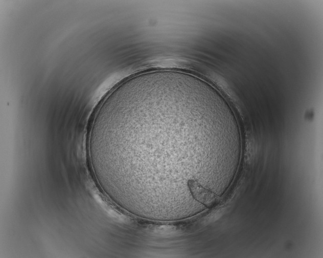 X0000112400986200908281746