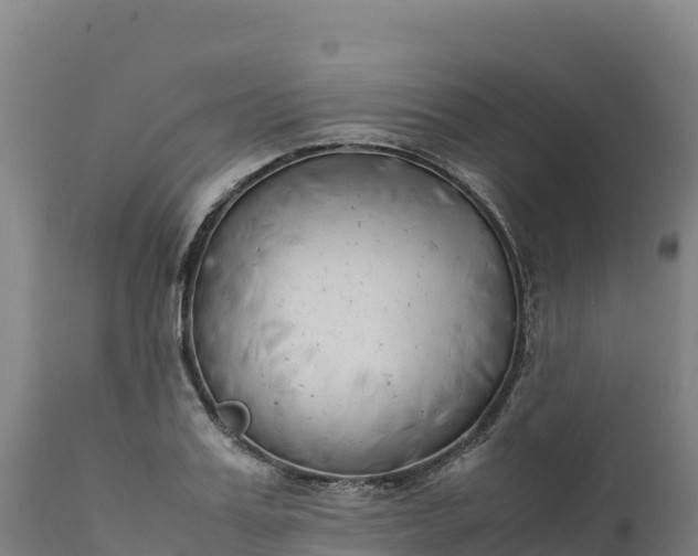 X0000112400987200908281746