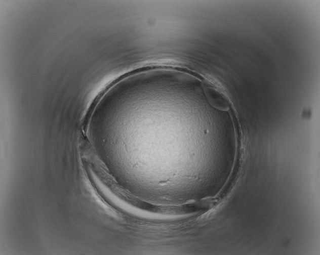 X0000112400989200908281746