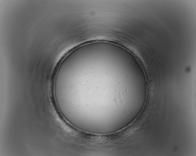 X0000112400991200908281746