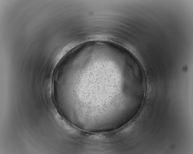 X0000112400994200908281746