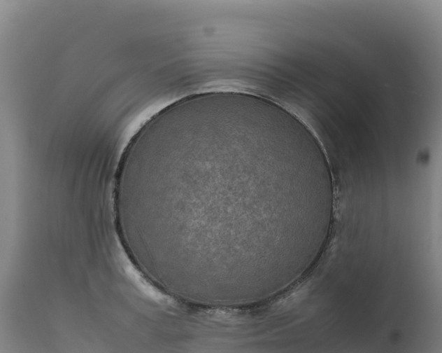 X0000112400995200908281746