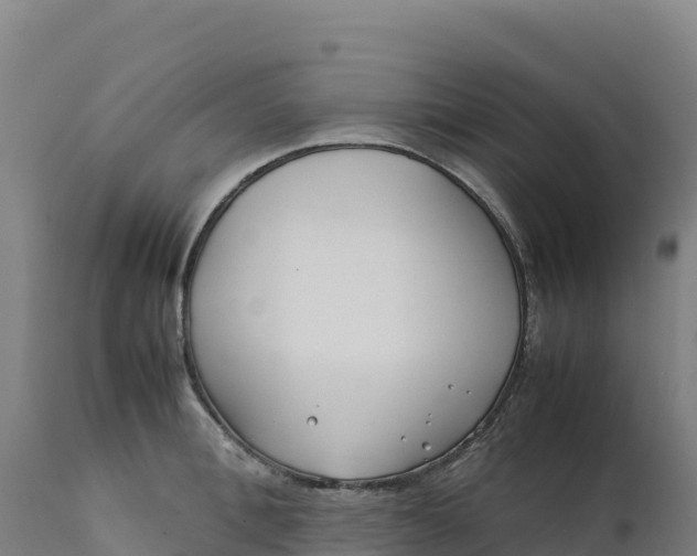 X0000112400996200908281746
