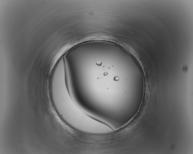 X0000112400997200908281746