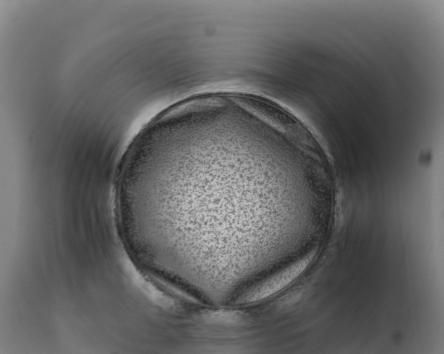 X0000112400998200908281746