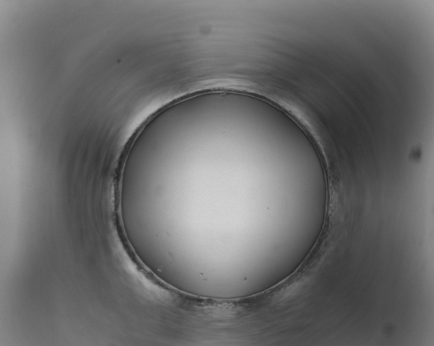 X0000112400999200908281746