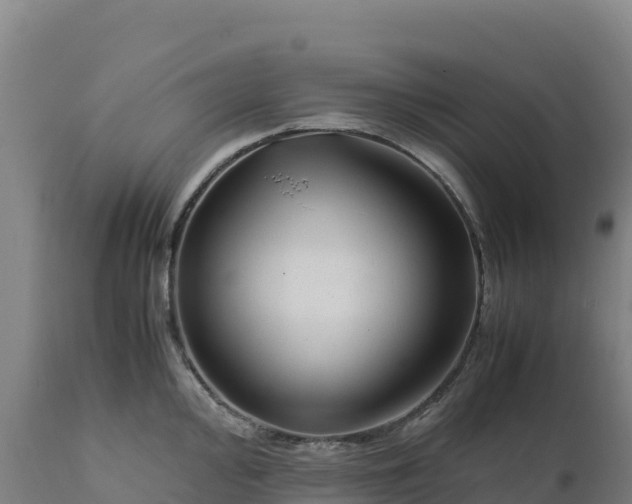 X0000112401000200908281746